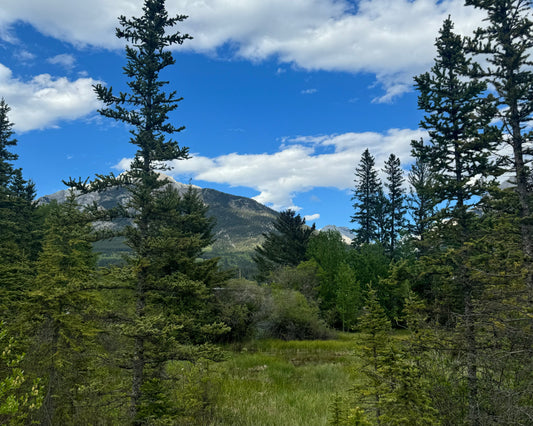 Outdoor or Indoor Cardio with Sadie Meyer (she/her)